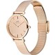 Daniel Wellington DW00100795 Daniel Wellington
