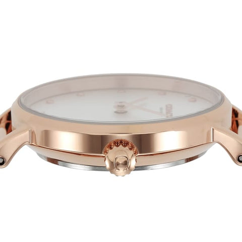 COACH 14503520 Watch (Image 4)