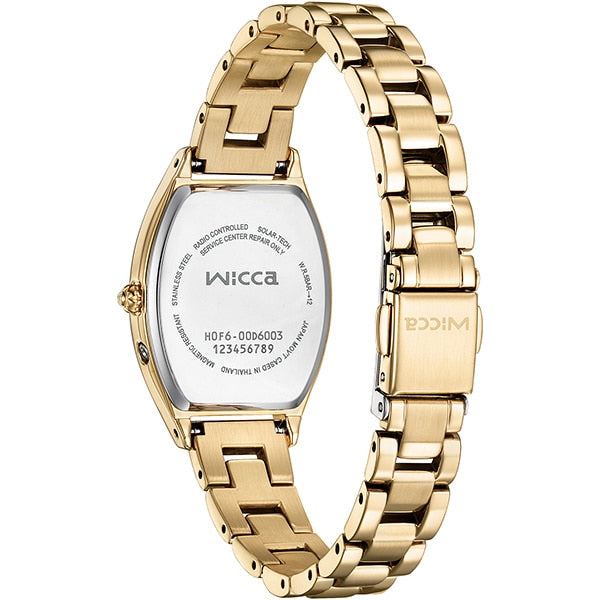CITIZEN WATCH AOST22567 Watch - Unisex Resin Belt with Authentic Style, 1 Year Warranty, Durable Design for Everyday Wear (Im