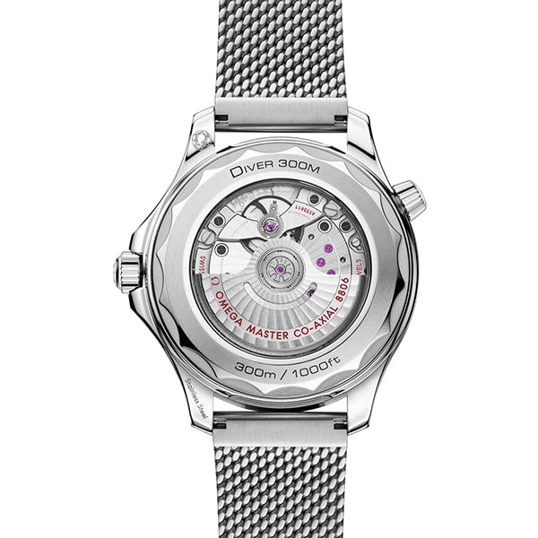 OMEGA 210.30.42.20.01.018 Watch (Image 2)