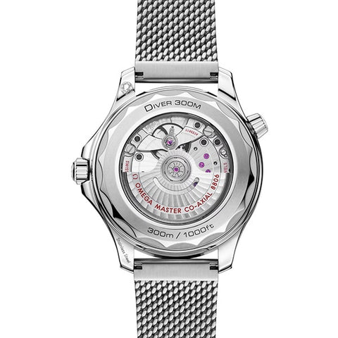 OMEGA 210.30.42.20.01.018 Watch (Image 2)