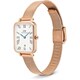 Daniel Wellington DW00100860 Daniel Wellington