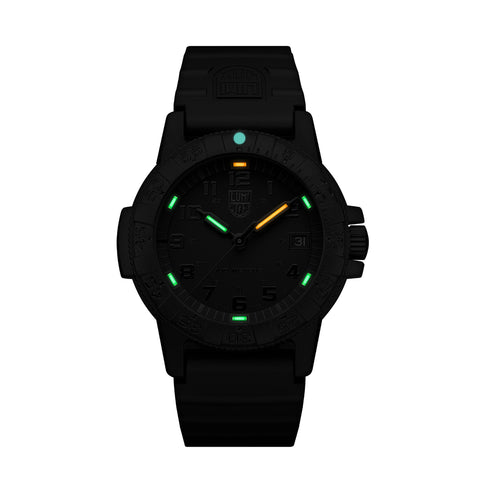 Luminox 0301 Watch - LEATHERBACK SEA TURTLE 0300 SERIES Ref. BO.L (Image 3)