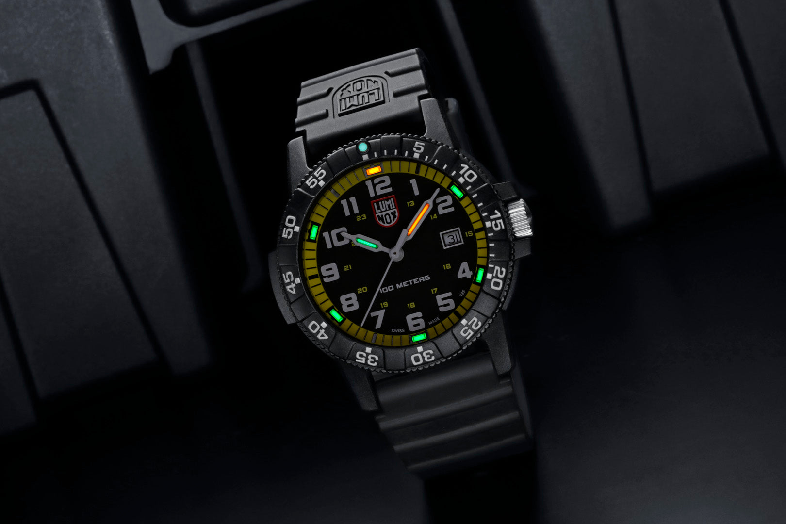 Luminox 0325 Watch - LEATHERBACK SEA TURTLE GIANT 0320 SERIES Ref. (Image 6)