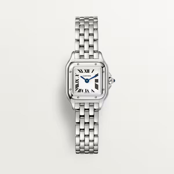 Cartier wspn0012 Watch