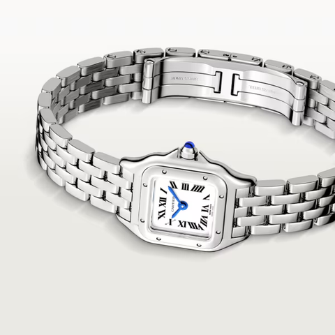 Cartier wspn0012 Watch