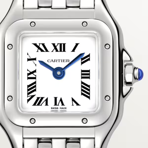Cartier wspn0012 Watch