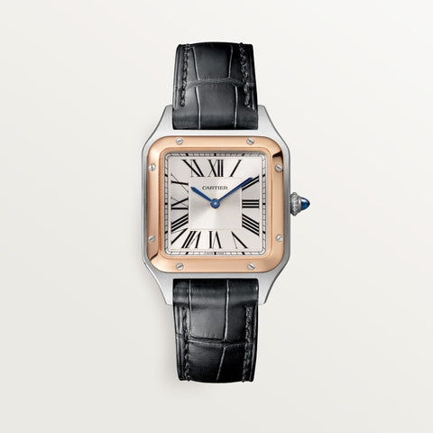 Cartier w2sa0038 Santos Watch