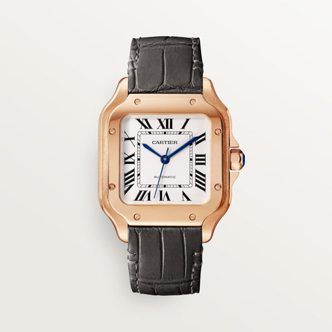 Cartier wgsa0028 Santos Watch