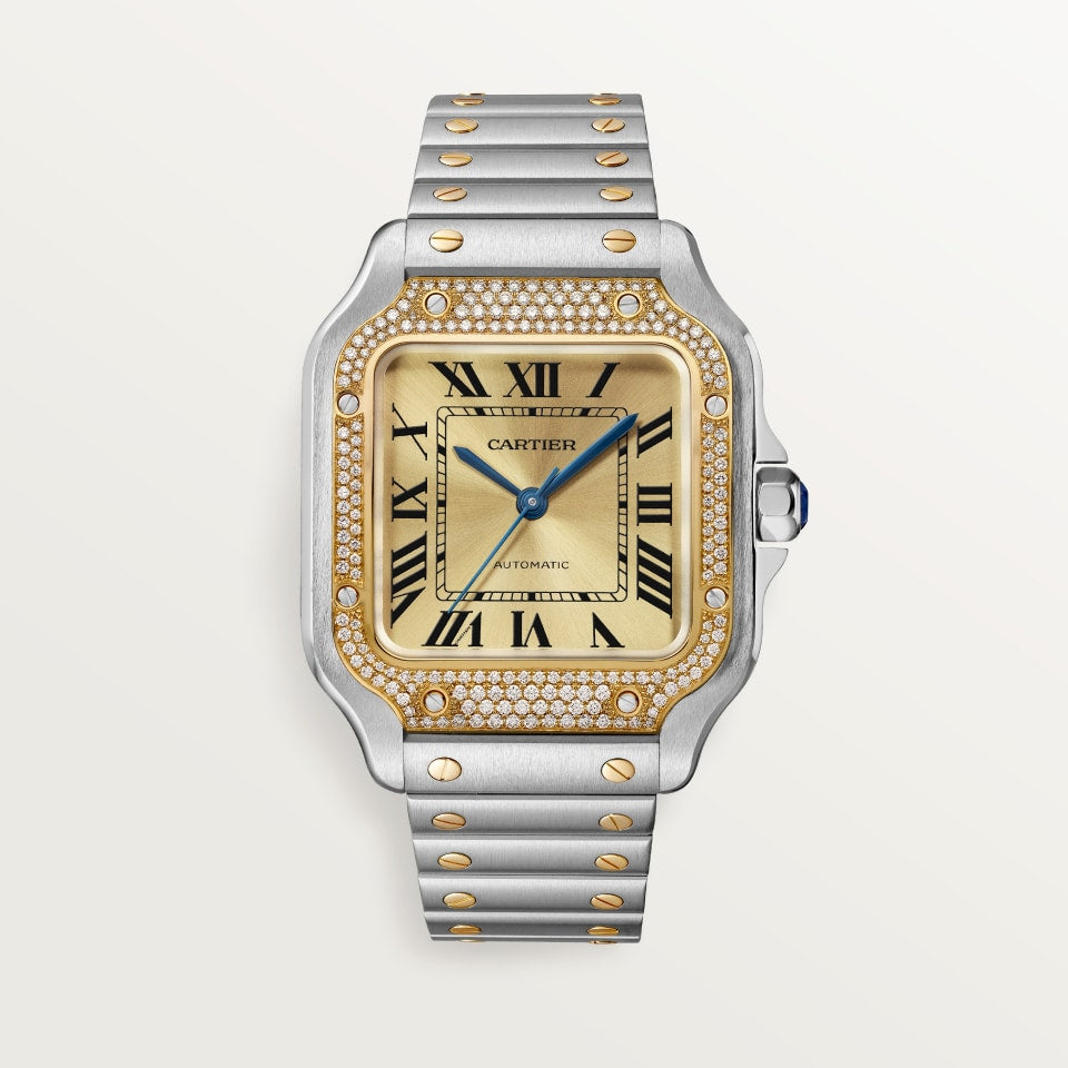 Cartier w3sa0007 Santos Watch