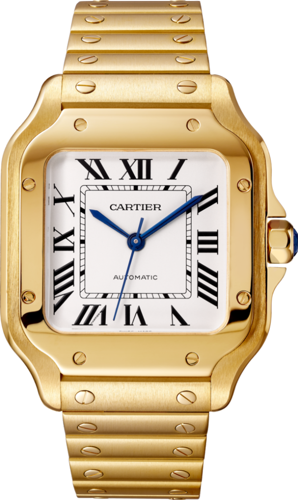 Cartier wgsa0030 Watch - Santos de Cartier watch