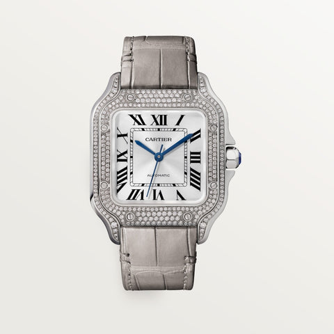 Cartier Santos de Cartier wjsa0006 Automatic 41.9mm Men Unisex Watch
