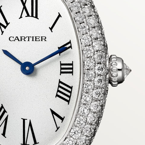 Cartier wssa0062 Watch - Santos de Cartier watch (Image 4)