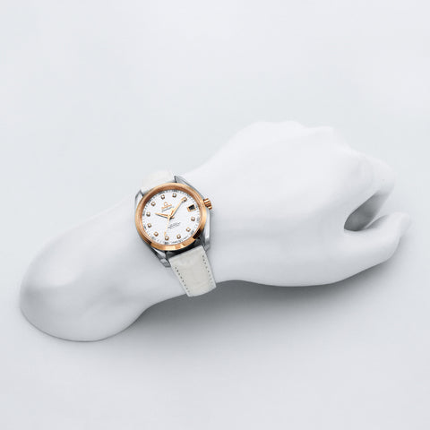 OMEGA 231.23.39.21.52.001 Seamaster Aqua Terra Silver 5-Year Warranty Automatic Movement Water Resistant