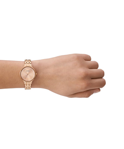 SKAGEN SKW3128 WATCH