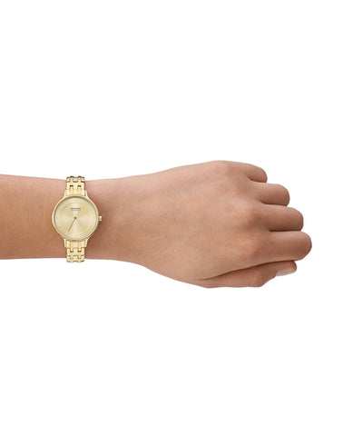 SKAGEN SKW3127 WATCH