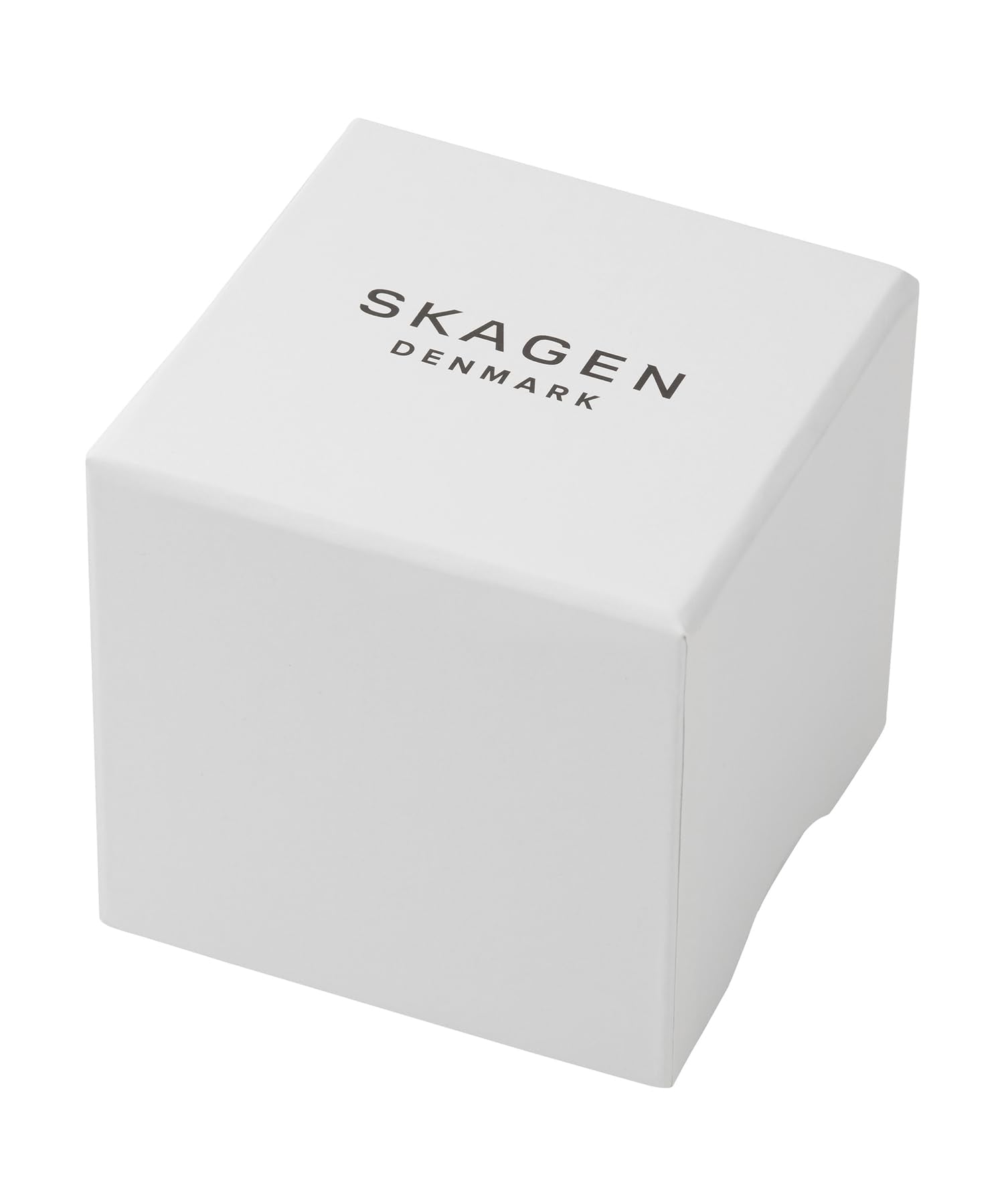 SKAGEN SKW3126 WATCH