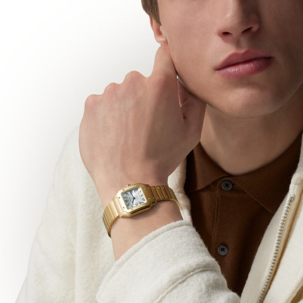 Cartier wsta0108 Watch - Tank Must de Cartier watch (Image 9)