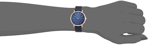 SKAGEN SKW2731 WATCH
