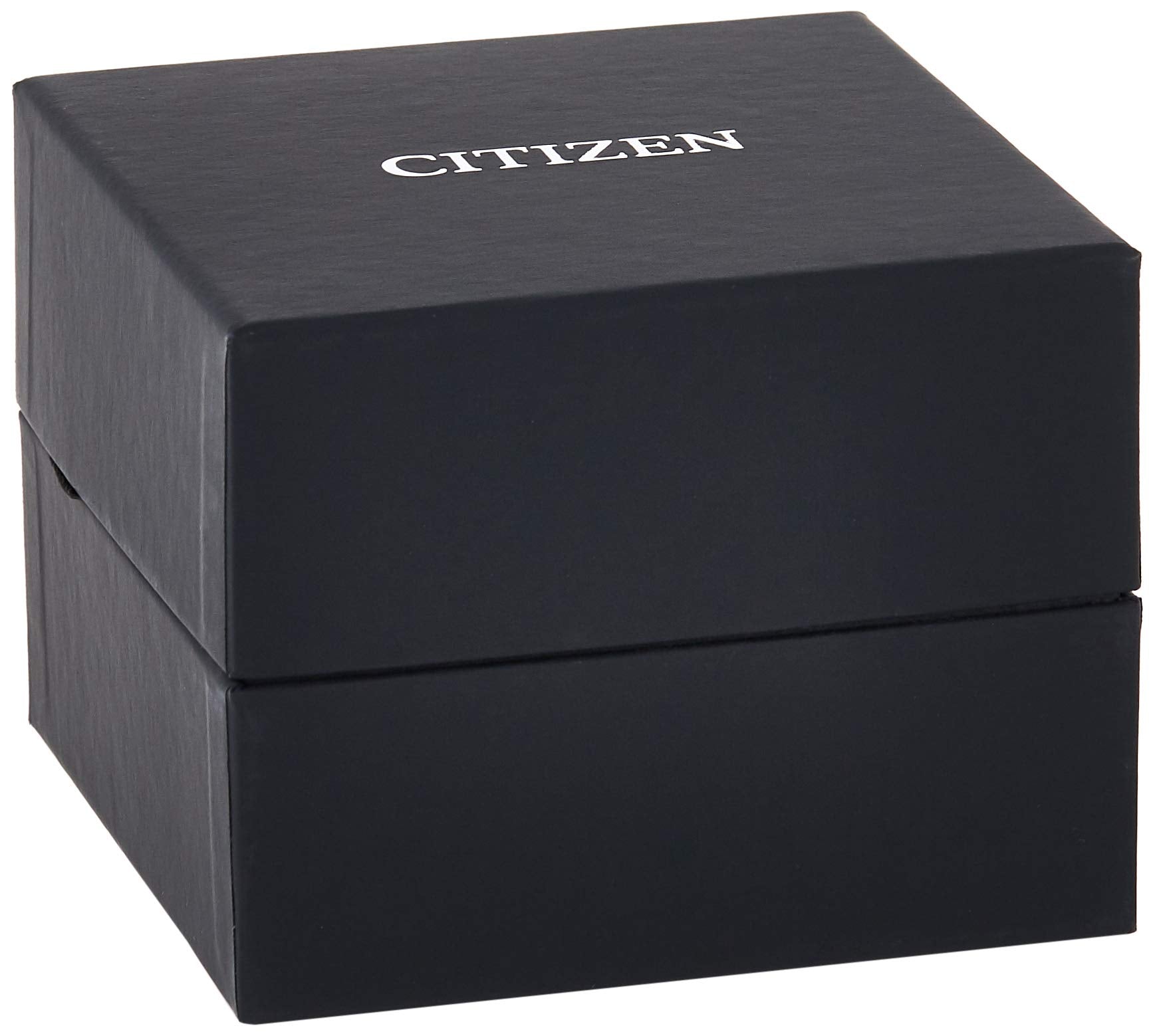CITIZEN BE9174-55A WATCH