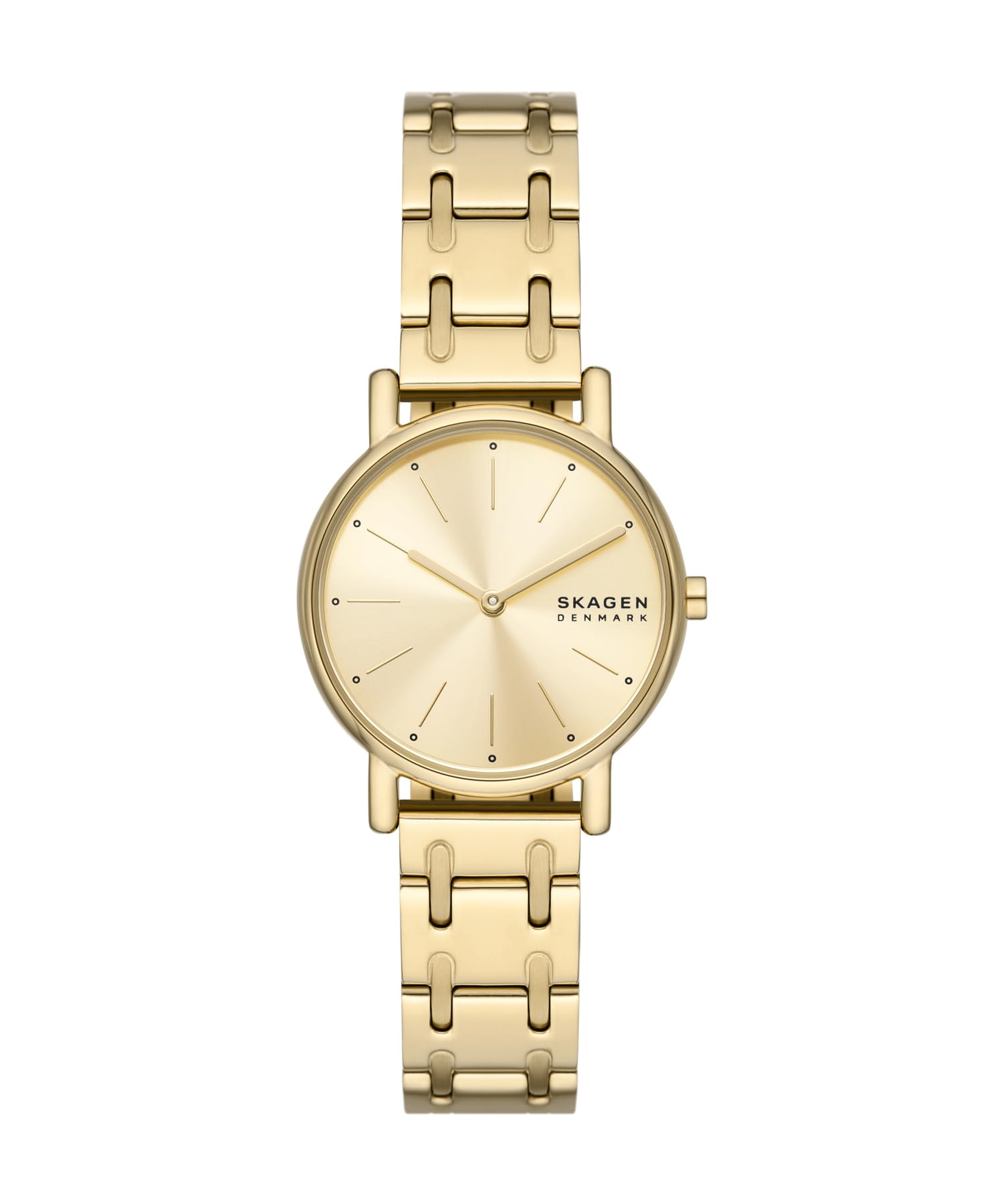 SKAGEN SKW3124 WATCH