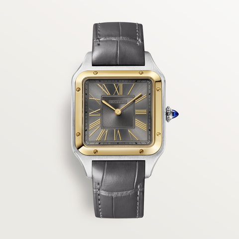 Cartier Santos Dumont w2sa0036 Quartz 43.5mm Men Unisex Watch