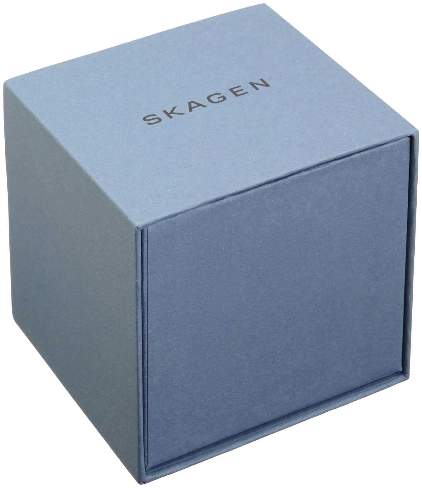 SKAGEN SKW2581 WATCH