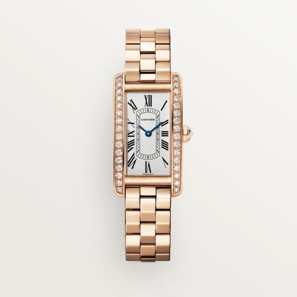 Cartier wgsa0019 Watch - Santos de Cartier watch