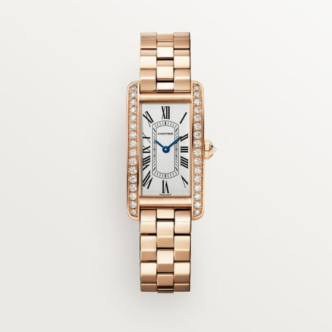 Cartier wgsa0019 Watch - Santos de Cartier watch