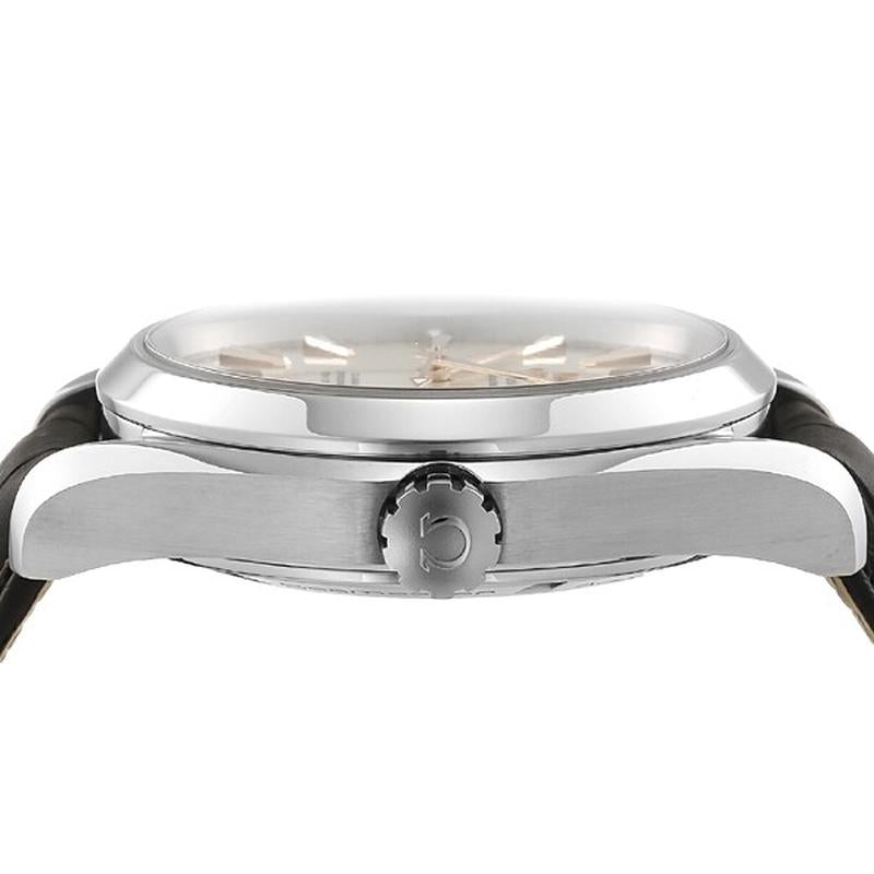 OMEGA 231.13.43.22.02.003 Watch - Seamaster Aqua Terra Silver Parallel Import 5-Year Warranty (Image 3)