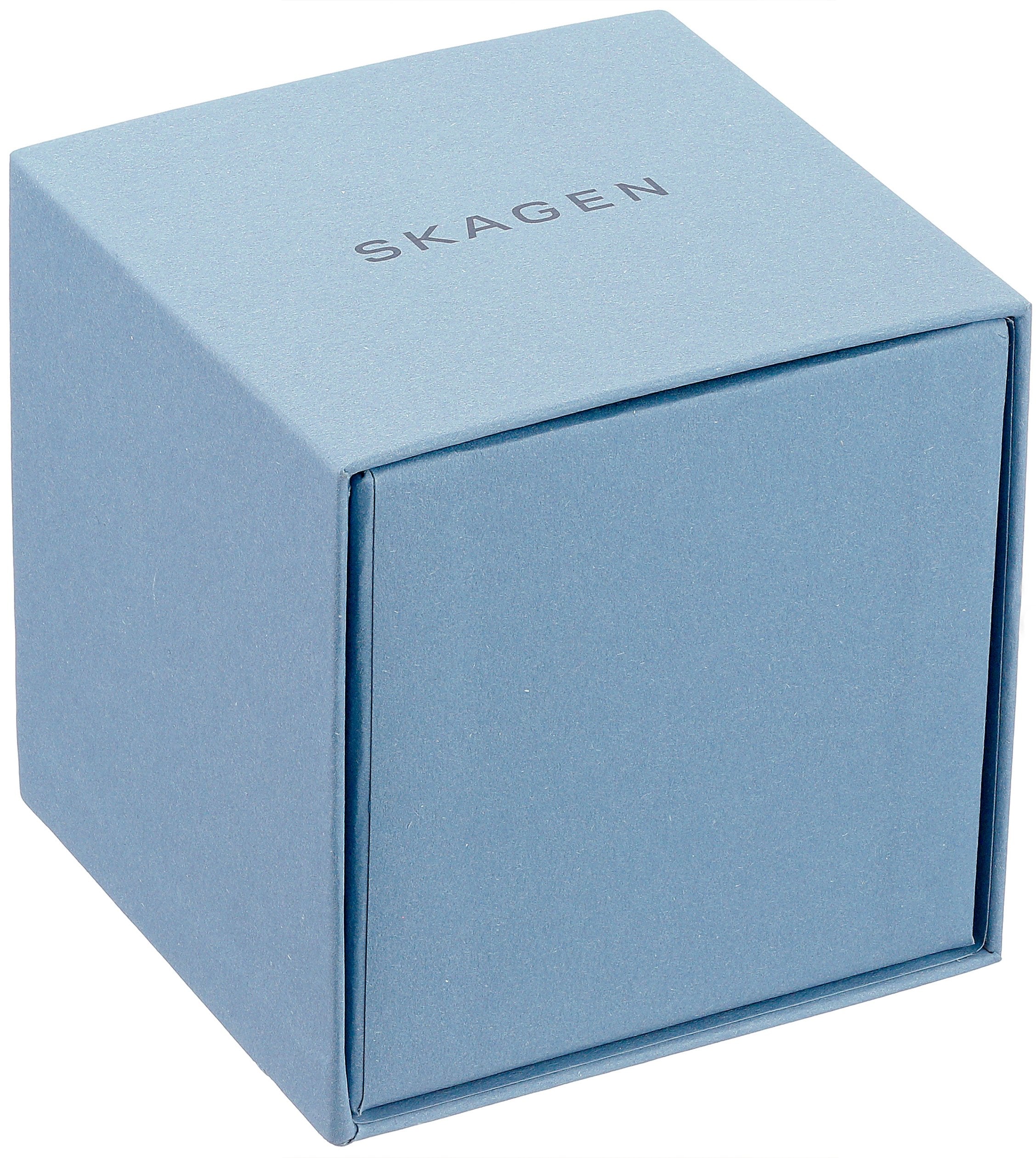 SKAGEN SKW6418 WATCH