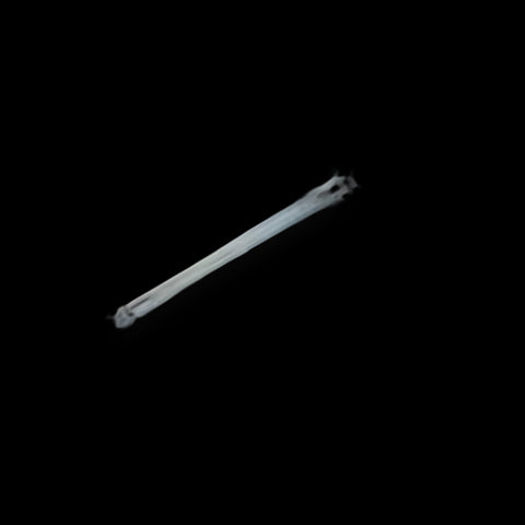 AA1Y213J9-LK01 genuine SEIKO watch part