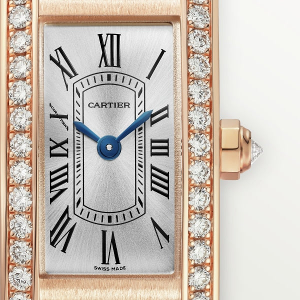 Cartier wgmb0003 Watch - Crash [Un]Limited Watch (Image 2)