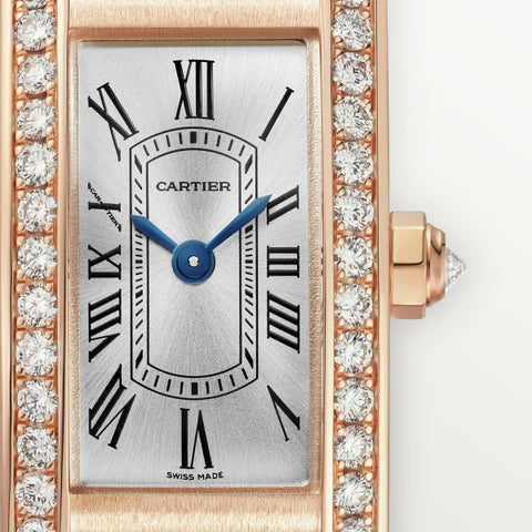 Cartier wgmb0003 Watch - Crash [Un]Limited Watch (Image 2)