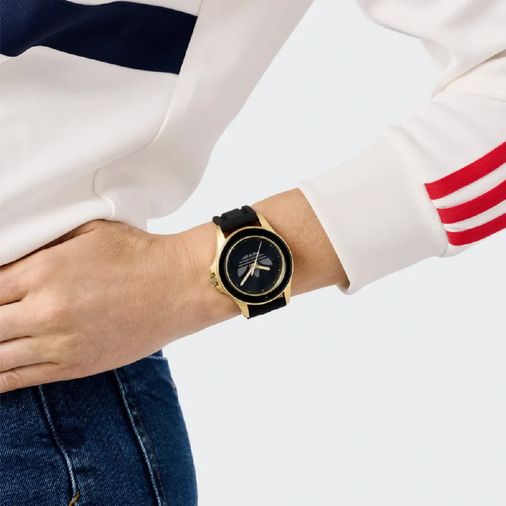 IPPO JAPAN WATCH AOFH24507 Watch (Image 5)