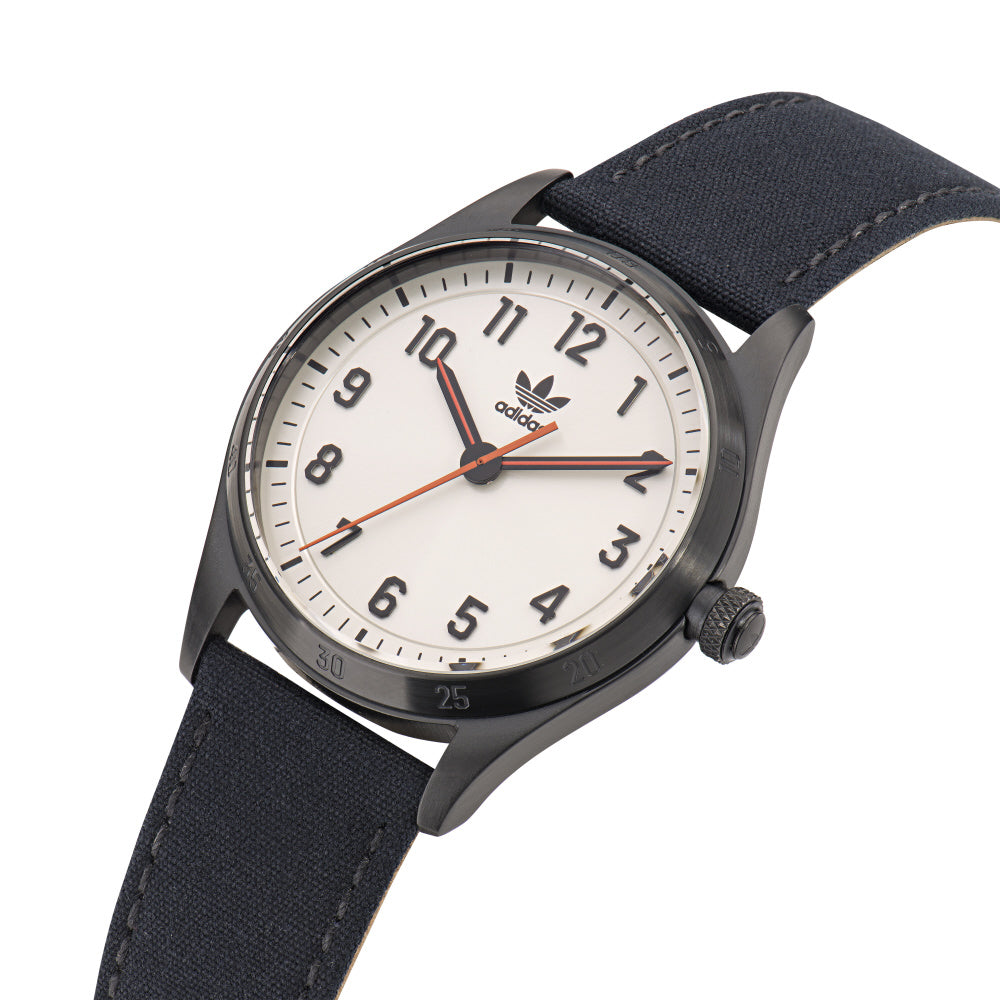IPPO JAPAN WATCH AOSY23039 Watch (Image 2)