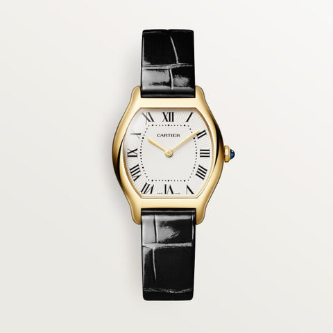 Cartier wgto0015 Watch