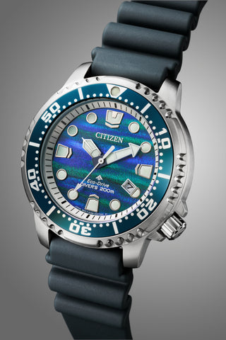 CITIZEN BN0167-09W Limited Edition 200m Water Resistant Eco-Drive Solar Diver Watch Marine Series