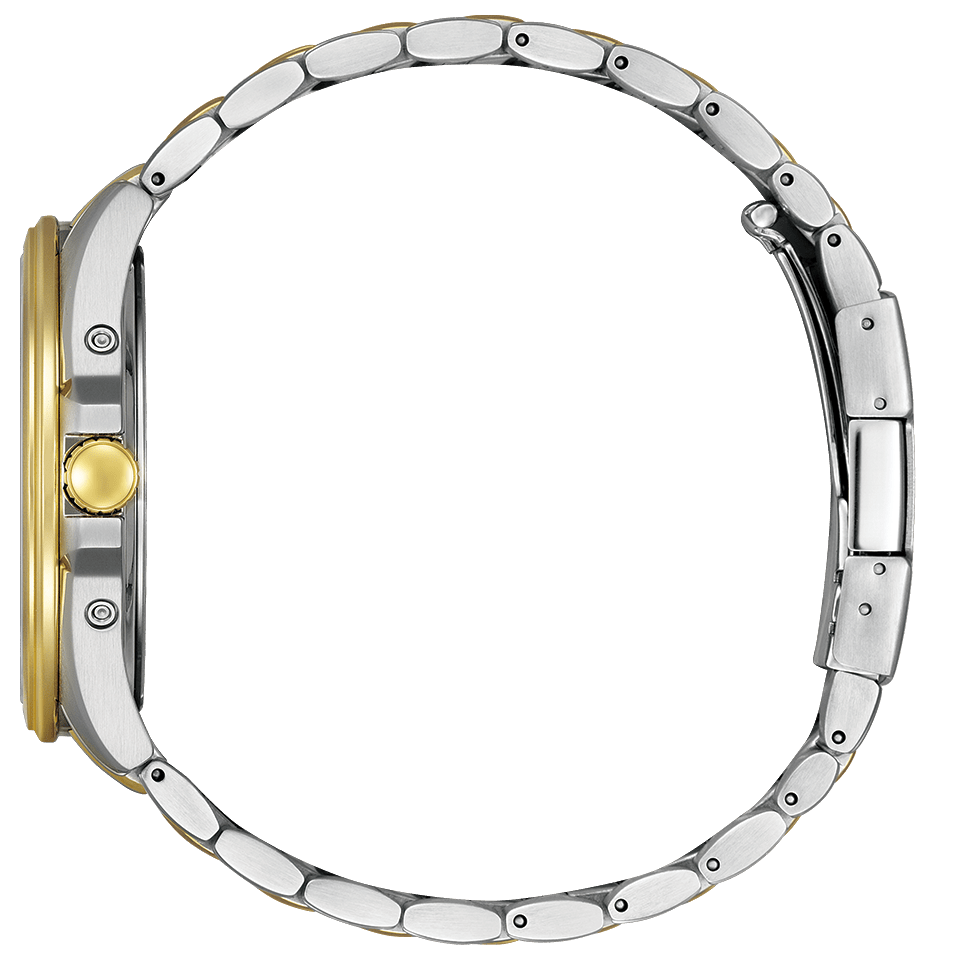 IPPO JAPAN WATCH CB0294-62A WATCH (Image 3)