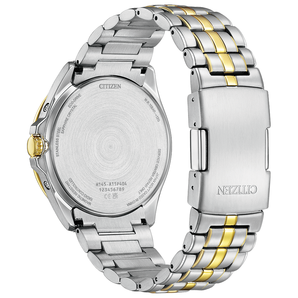 IPPO JAPAN WATCH CB0294-62A WATCH (Image 2)