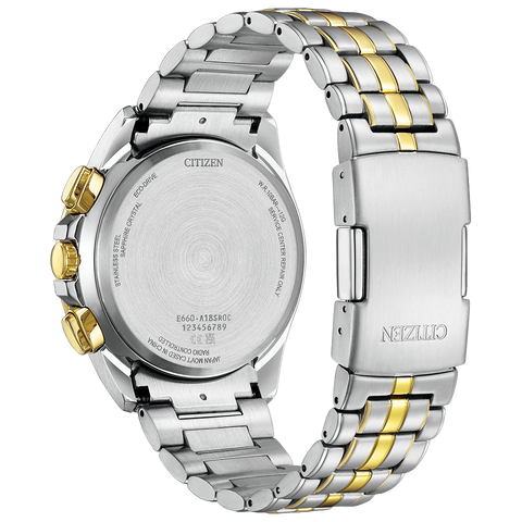 IPPO JAPAN WATCH CB5874-65A WATCH (Image 2)