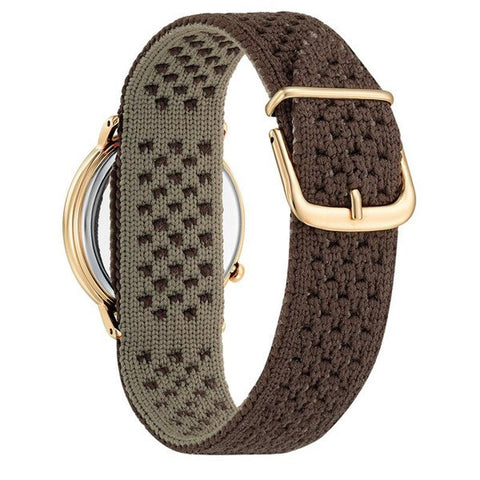 CITIZEN EI EM1003-48X Specific store limited model watch