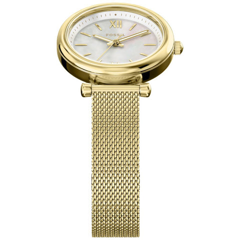 IPPO JAPAN WATCH ES5462 Watch - FOSSIL Carlie Stylish Design Stainless Steel Case Elegant Leather Strap Water Resistant (Imag