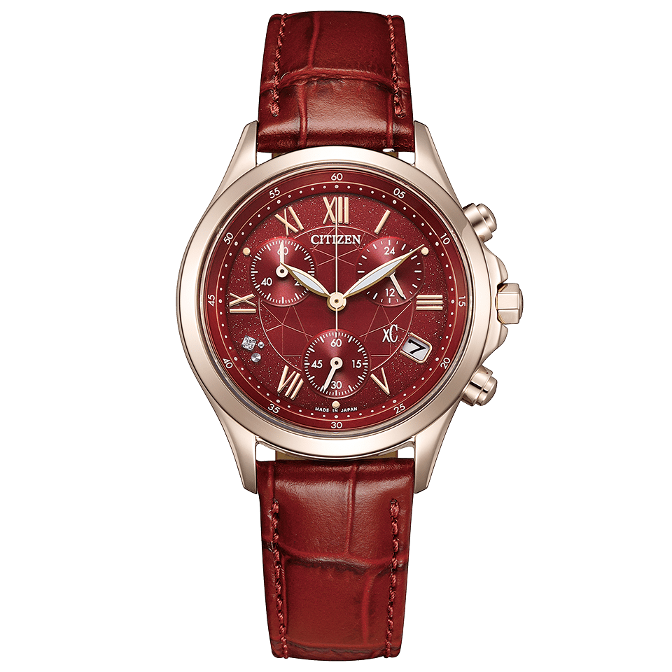 IPPO JAPAN WATCH FB1405-15W WATCH