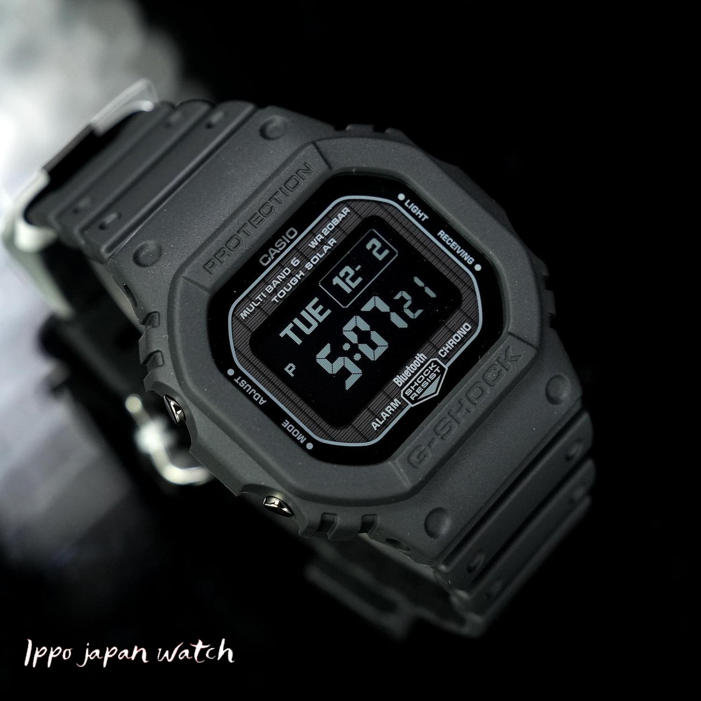 IPPOGW-BX5600-1A1JF.