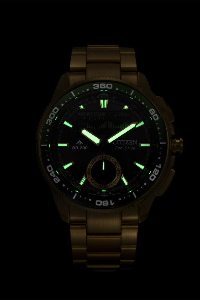 CITIZEN JV3002-51E CITIZEN