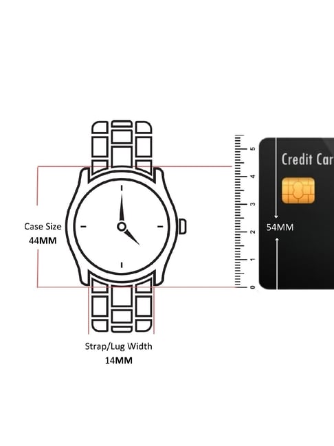 COACH 14602693 Watch