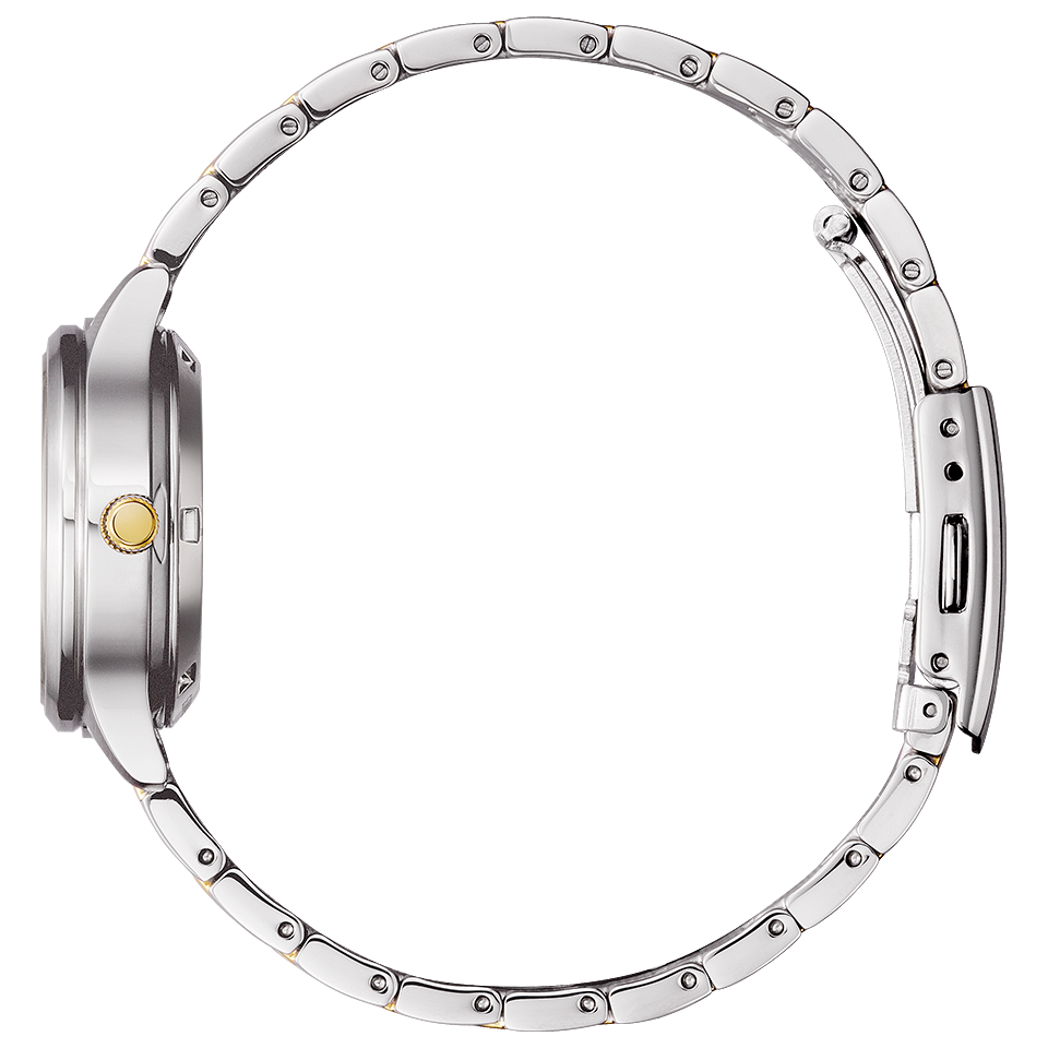 IPPO JAPAN WATCH PD7154-61P Citizen Collection analog Mec | IPPO Japan