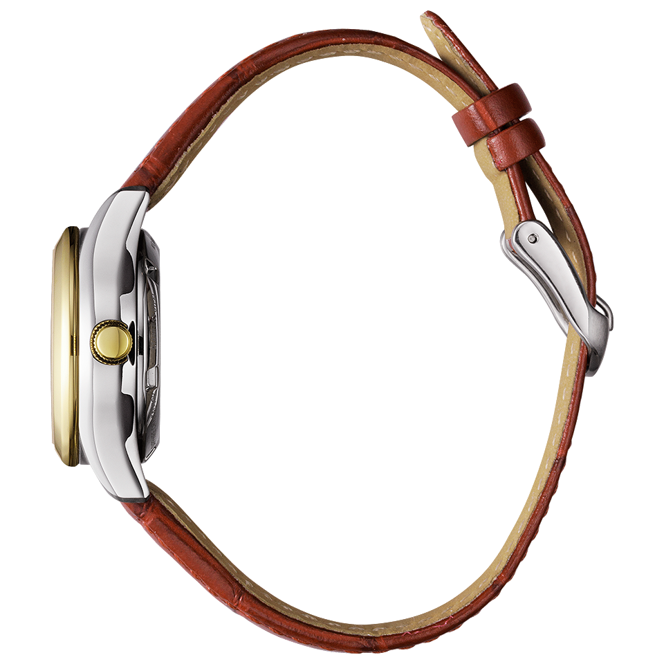 IPPO JAPAN WATCH PD7166-03A WATCH - Citizen Collection analog Mechanical leather strap ladies watch 2026.1.15 release (Image 