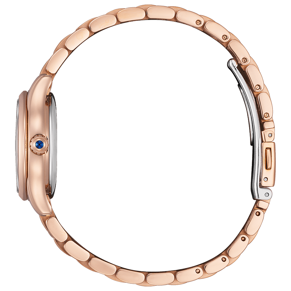 IPPO JAPAN WATCH PR1045-50W WATCH - Citizen Mechanical COLLECTION limited Stainless steel ladies watch 2026.2.5 release (Imag